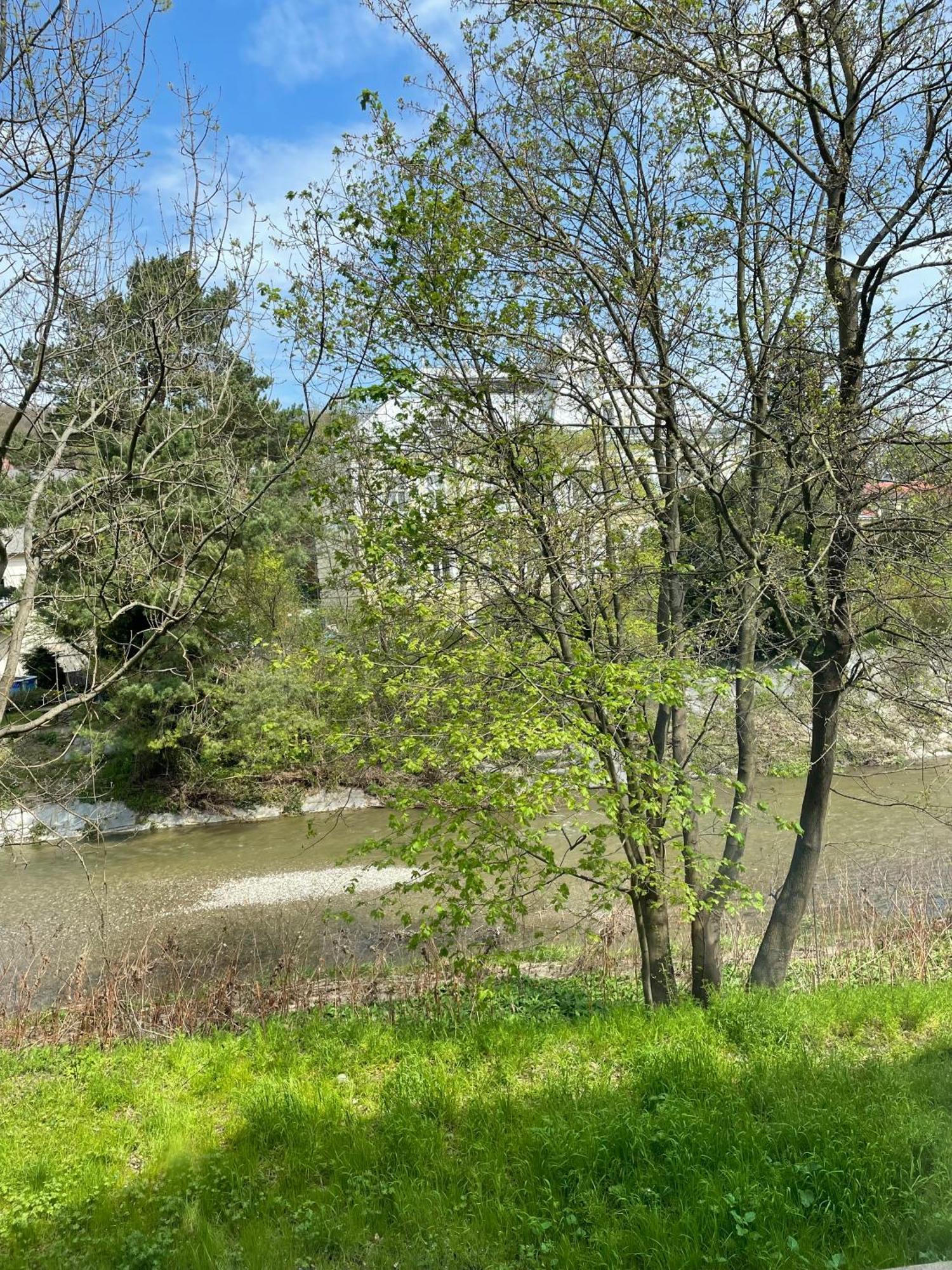 Nest Natur Hostel Bécs Kültér fotó